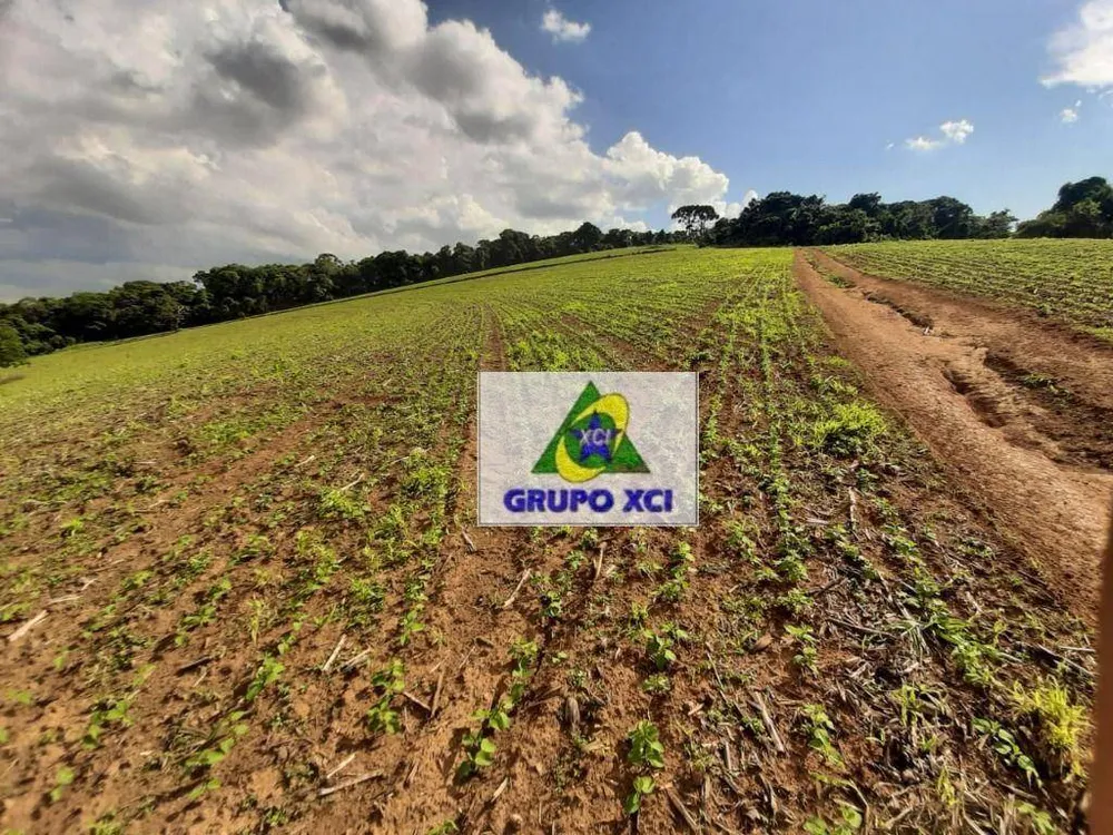 Fazenda, 678 hectares - Foto 8