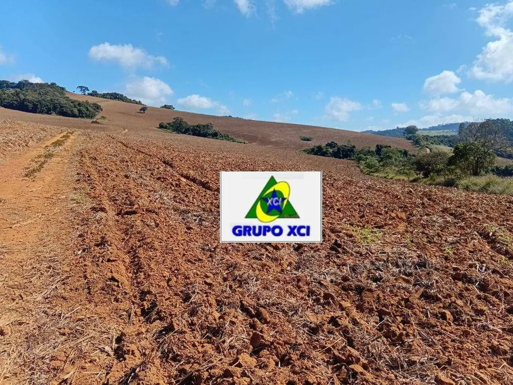 Fazenda, 678 hectares - Foto 11