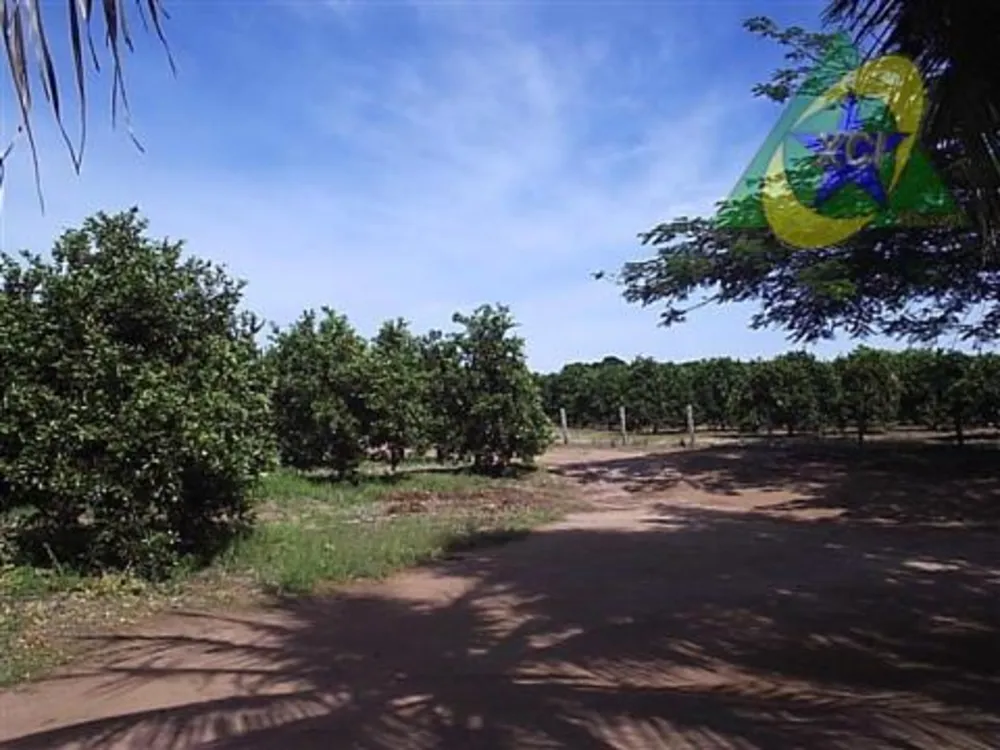 Sítio, 3 quartos, 13 hectares - Foto 1
