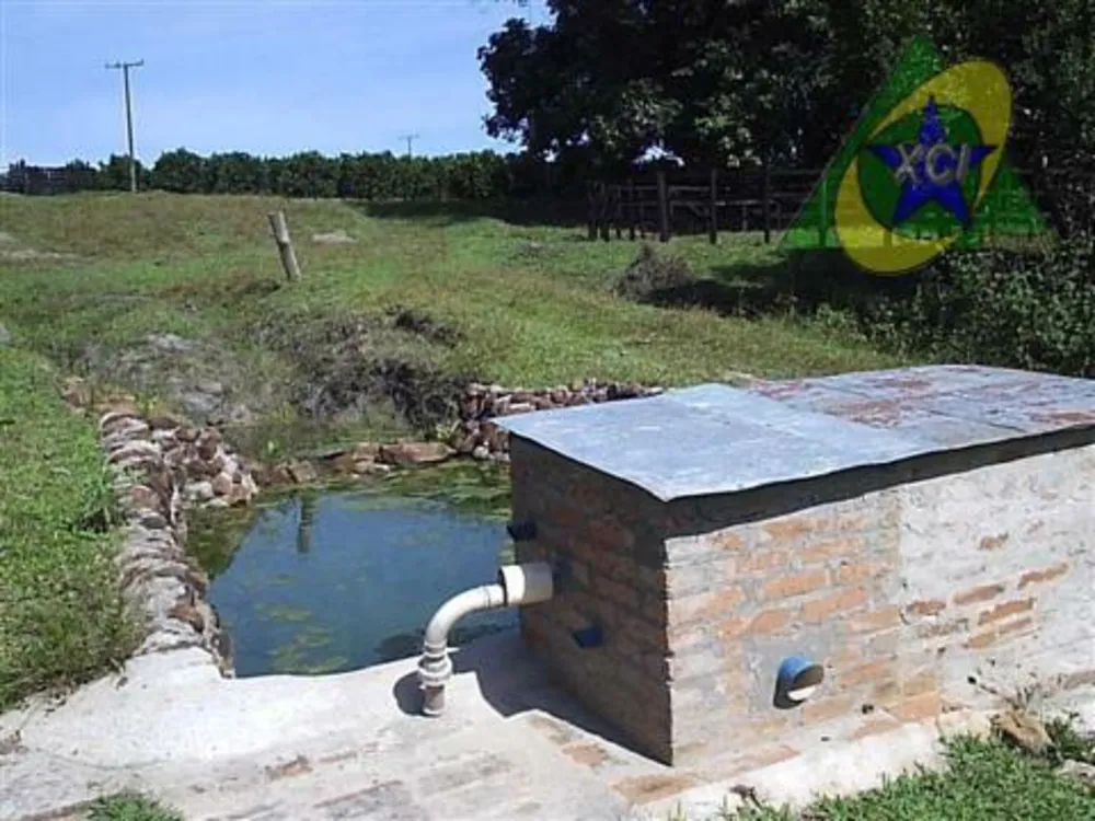 Sítio, 3 quartos, 13 hectares - Foto 5