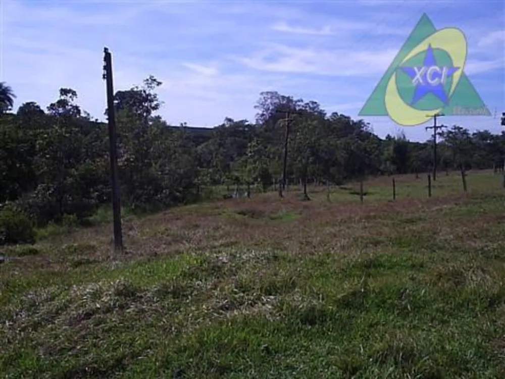 Sítio, 3 quartos, 13 hectares - Foto 4