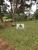 Fazenda, 5 hectares - Foto 3