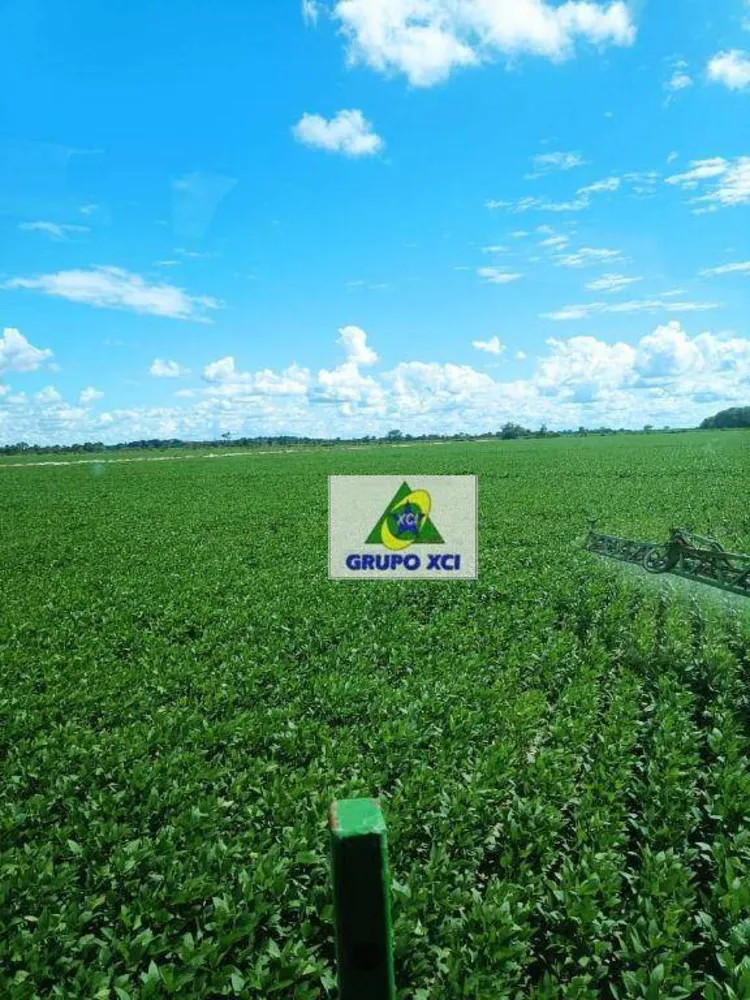 Fazenda, 673 hectares - Foto 5