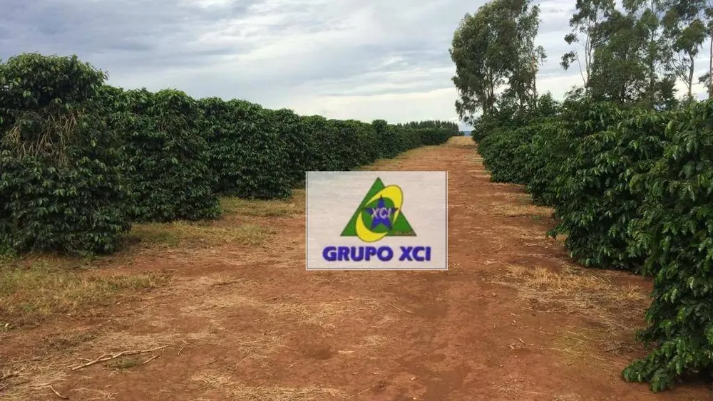 Fazenda, 101640 hectares - Foto 12