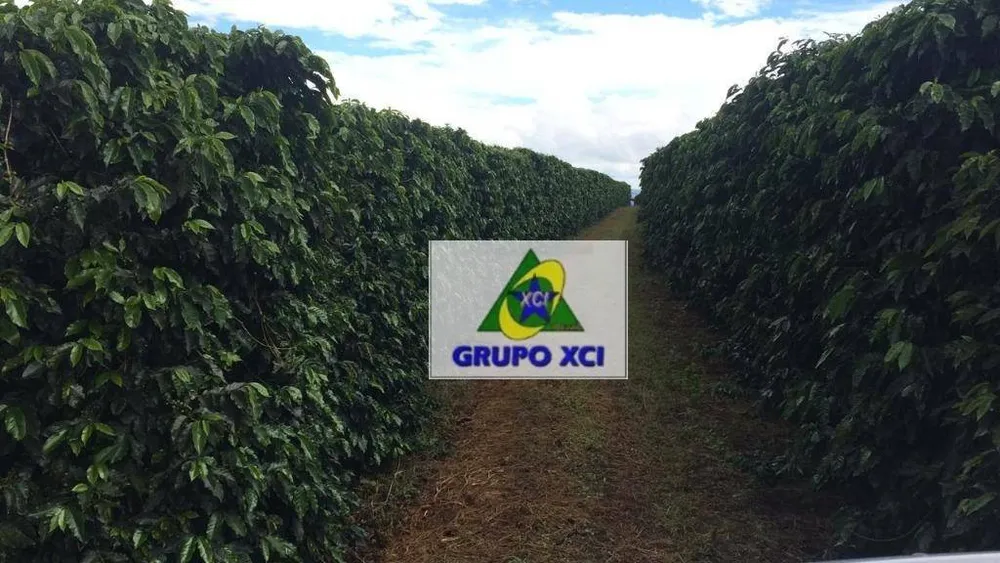 Fazenda, 101640 hectares - Foto 5
