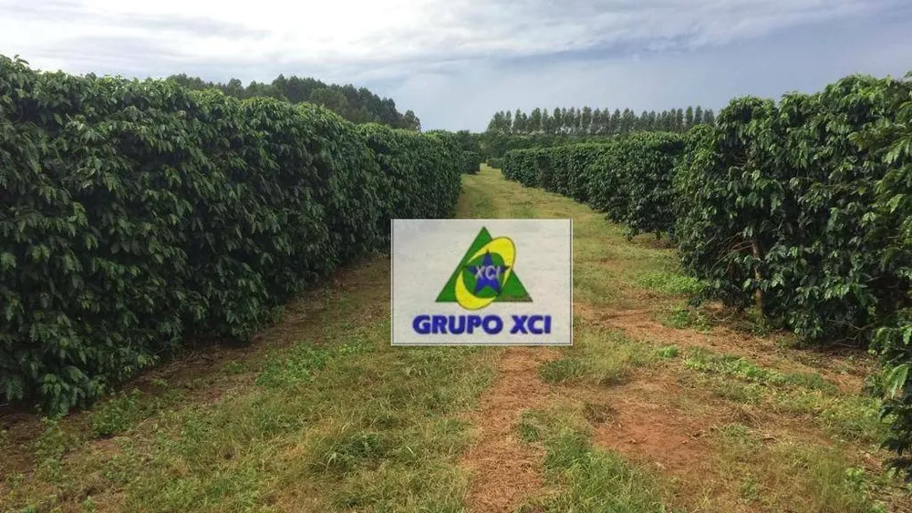 Fazenda, 101640 hectares - Foto 8