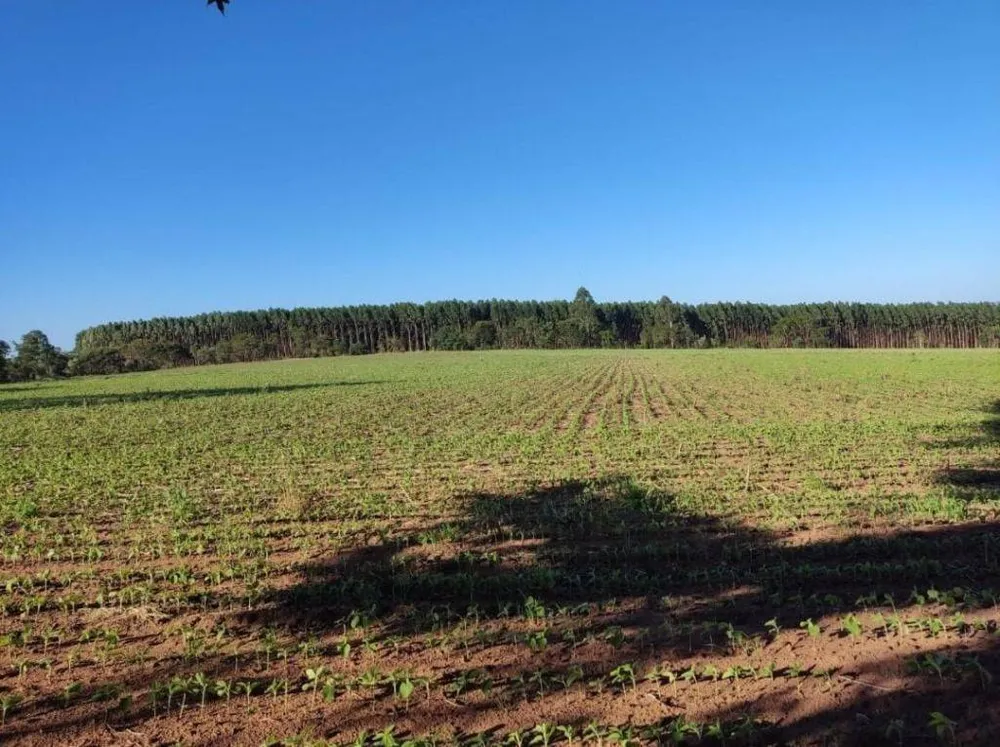 Fazenda, 166 hectares - Foto 6