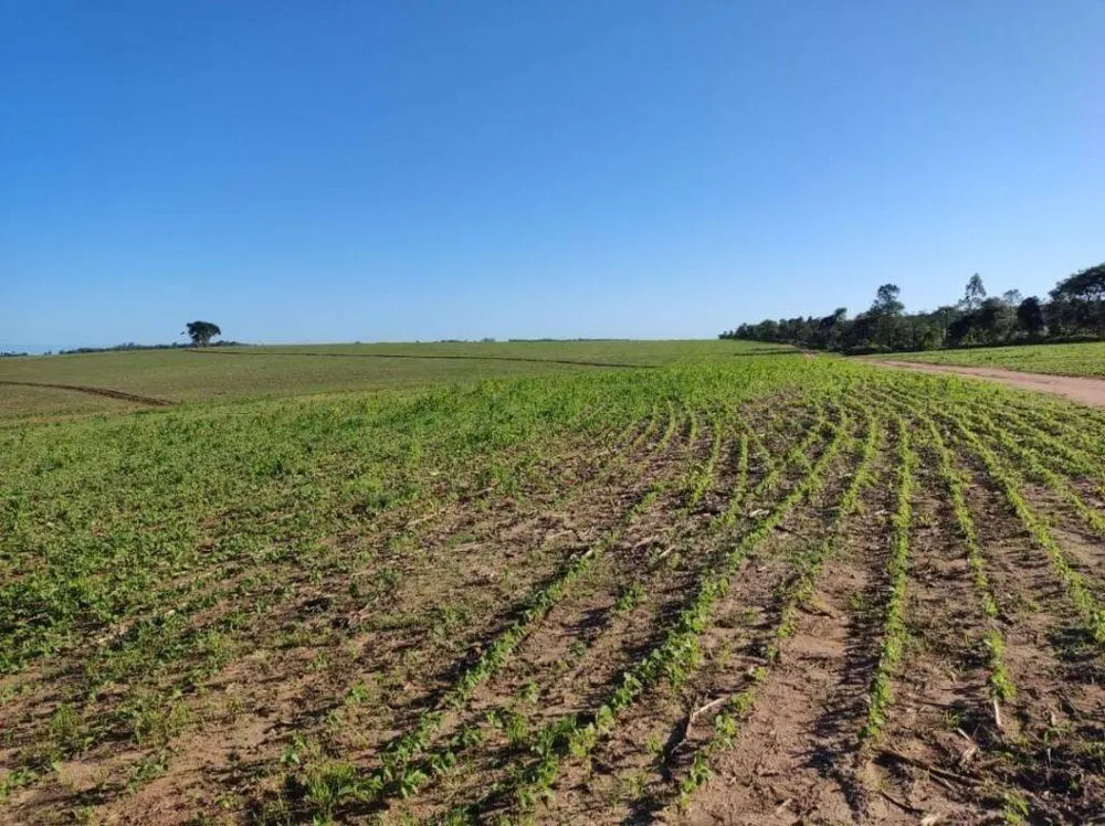 Fazenda, 166 hectares - Foto 7