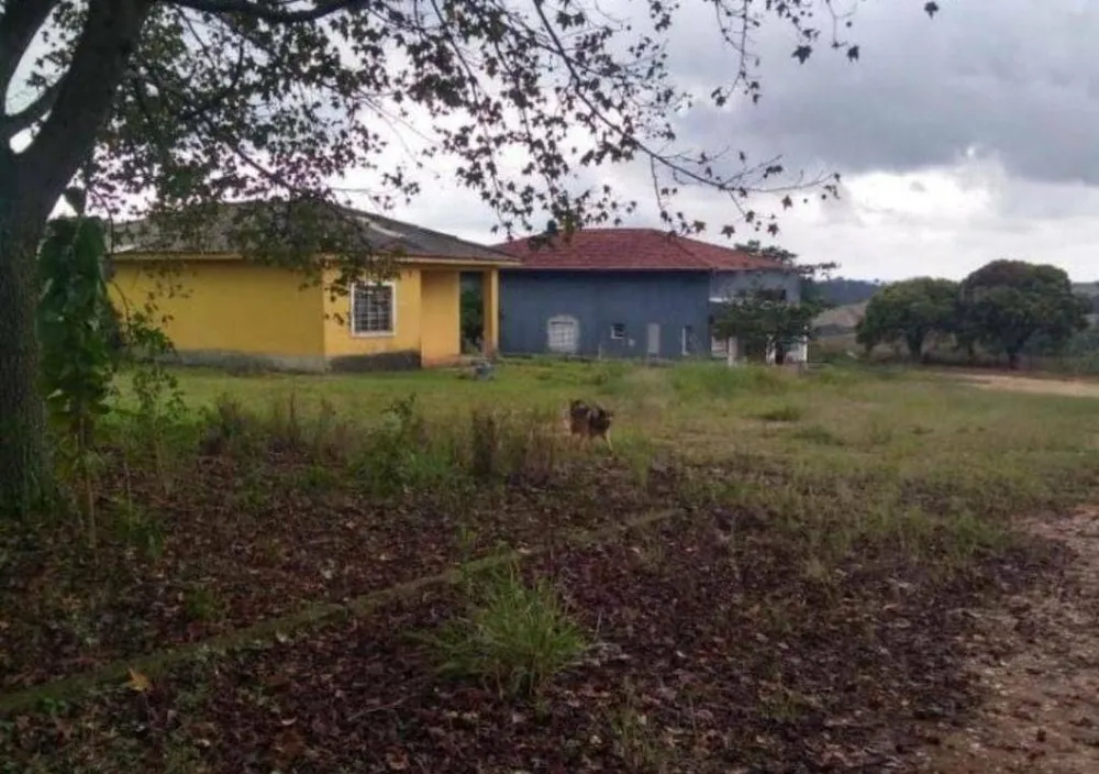 Fazenda, 166 hectares - Foto 3
