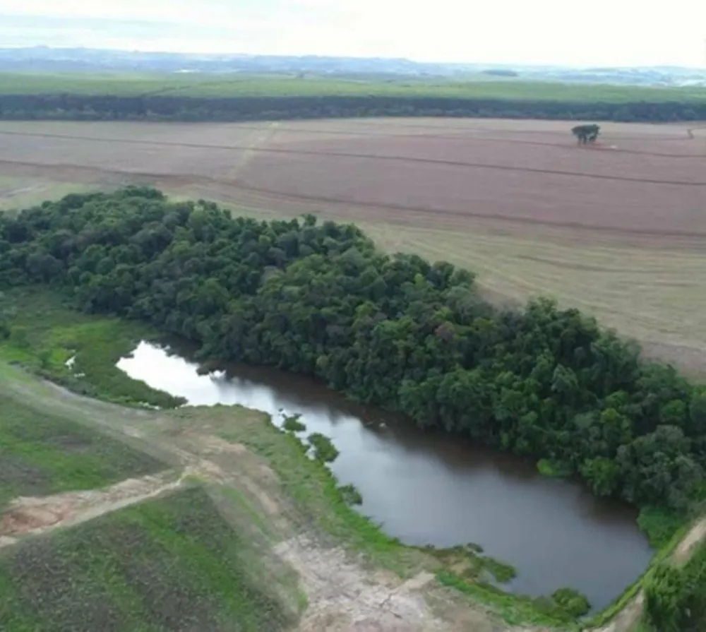 Fazenda, 166 hectares - Foto 4