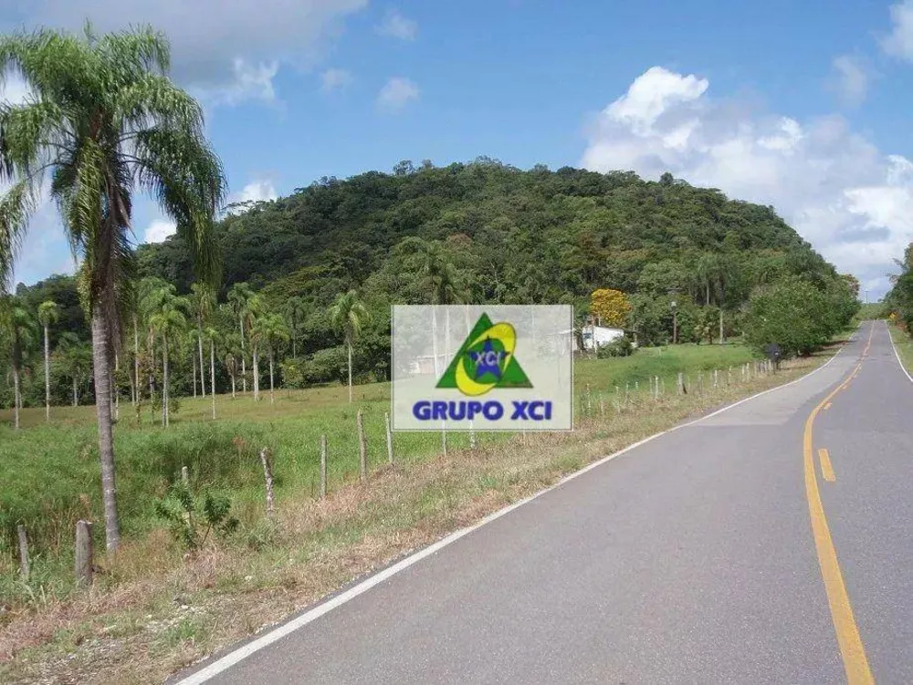 Fazenda, 1319 hectares - Foto 3