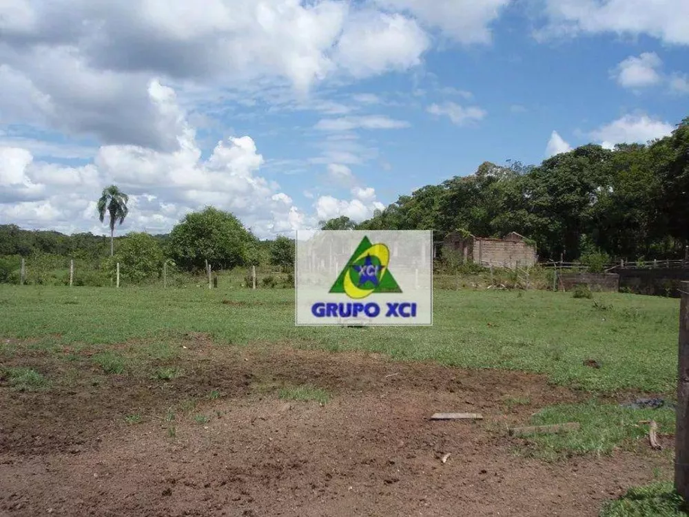 Fazenda, 1319 hectares - Foto 11
