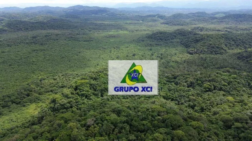 Fazenda, 1319 hectares - Foto 1