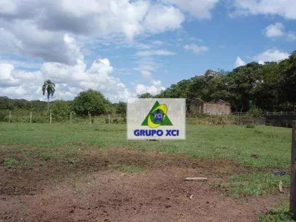 Fazenda, 1319 hectares - Foto 13