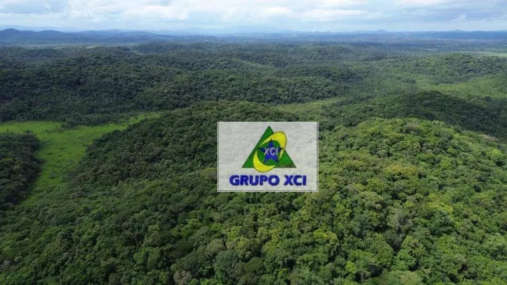 Fazenda, 1319 hectares - Foto 14