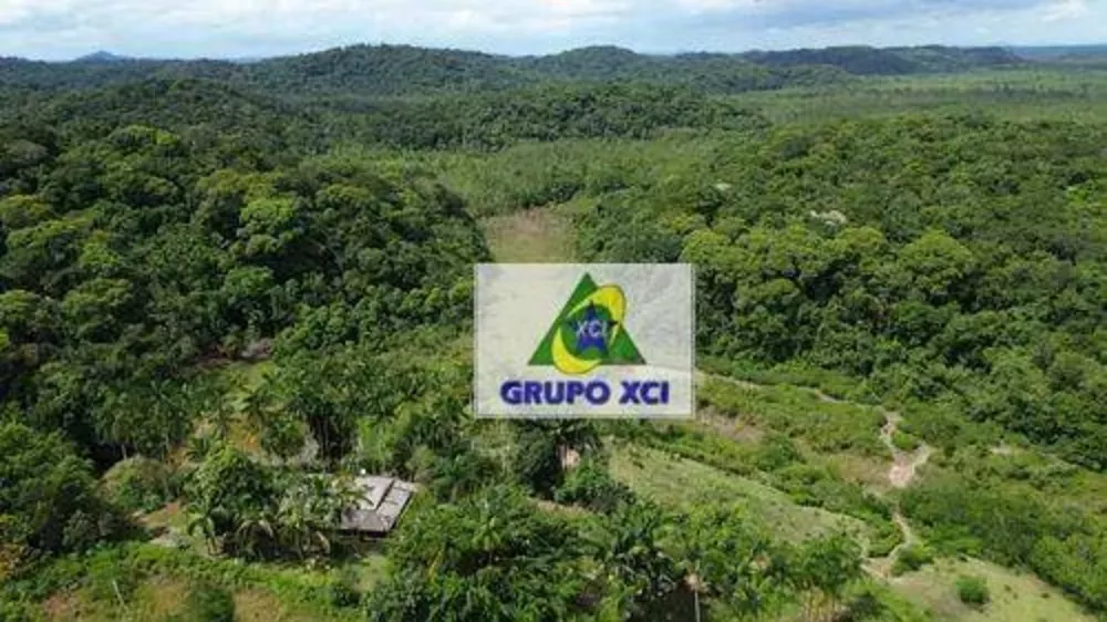 Fazenda, 1319 hectares - Foto 8