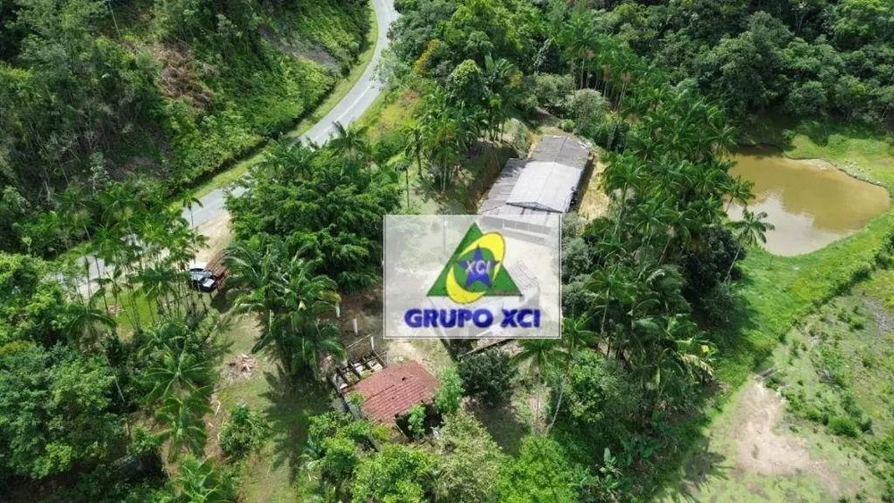 Fazenda, 1319 hectares - Foto 10