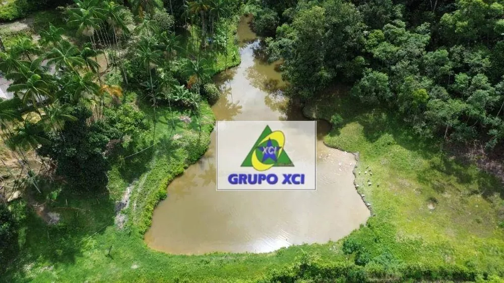Fazenda, 1319 hectares - Foto 17