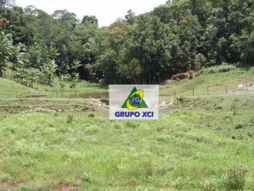 Fazenda, 1319 hectares - Foto 15