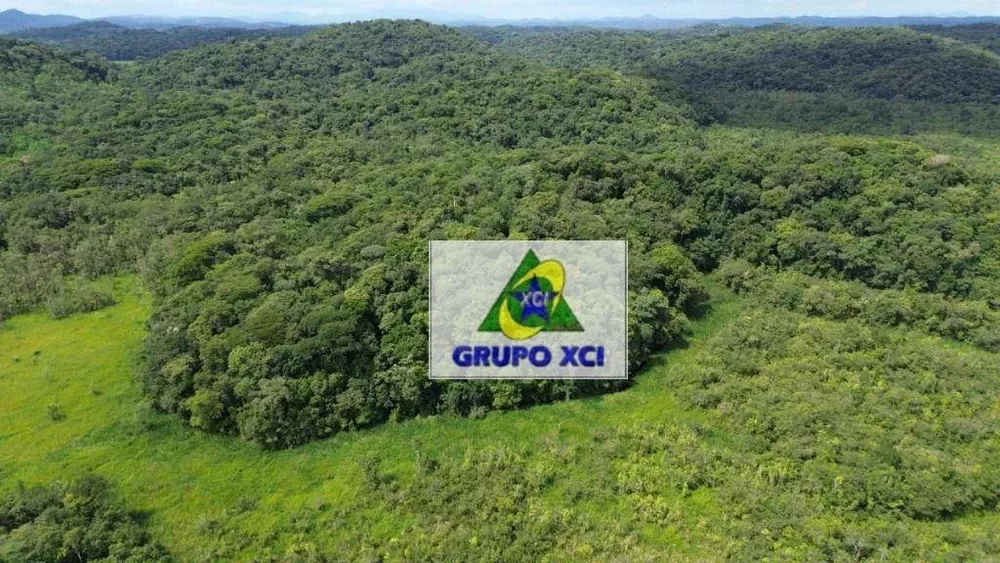 Fazenda, 1319 hectares - Foto 7