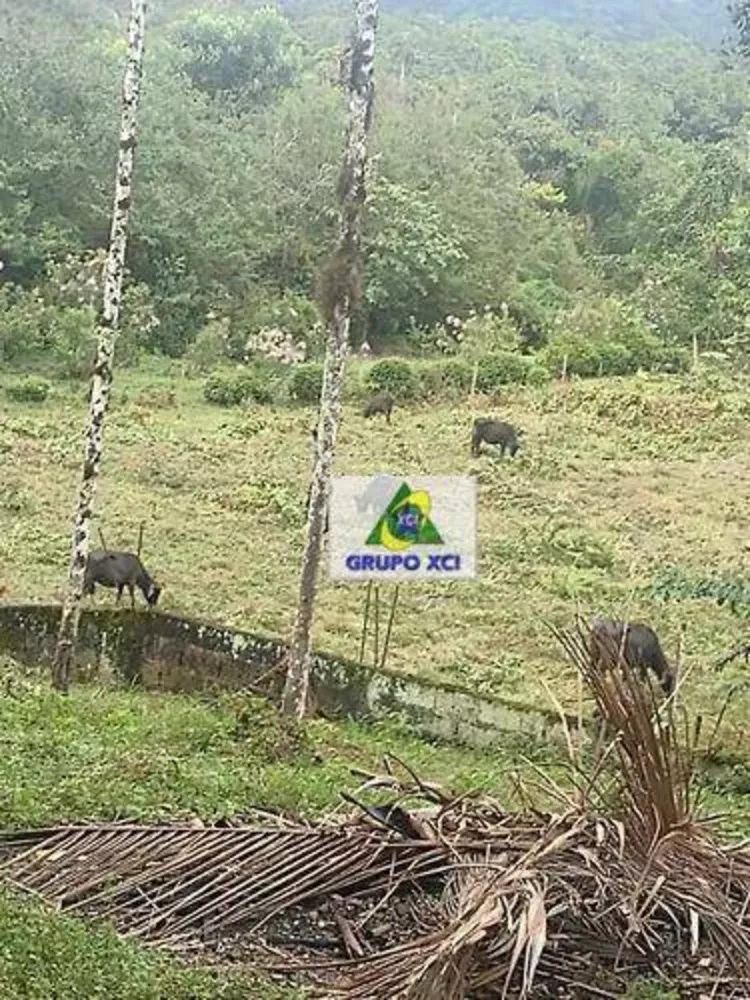Fazenda, 1319 hectares - Foto 9