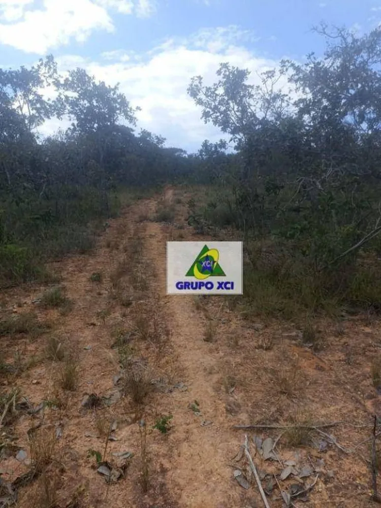 Fazenda, 1100 hectares - Foto 1