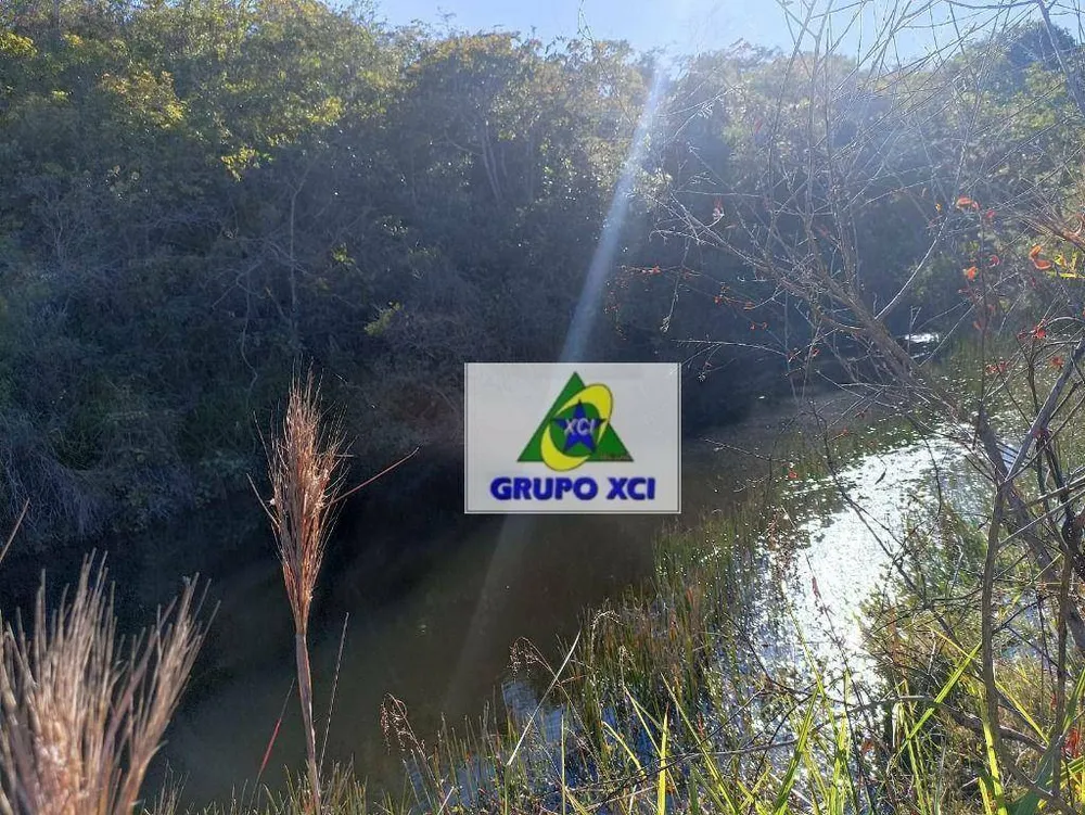 Fazenda, 1100 hectares - Foto 7