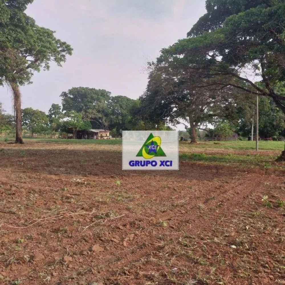 Fazenda, 7800 hectares - Foto 1