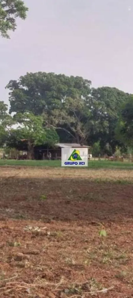 Fazenda, 7800 hectares - Foto 8