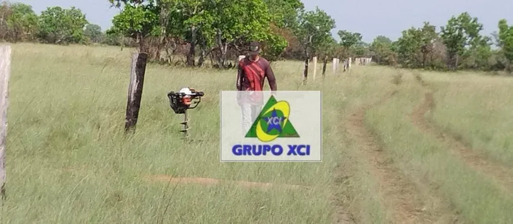Fazenda, 7800 hectares - Foto 3