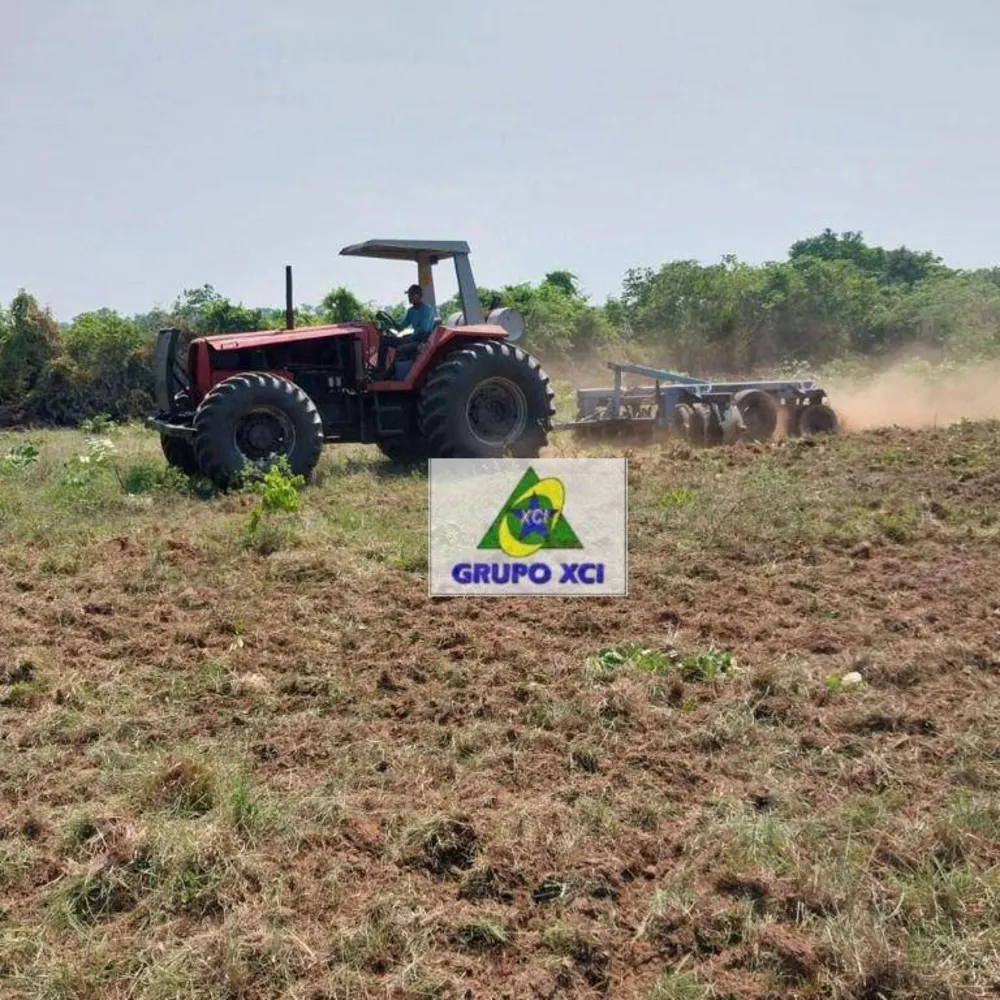 Fazenda, 7800 hectares - Foto 6