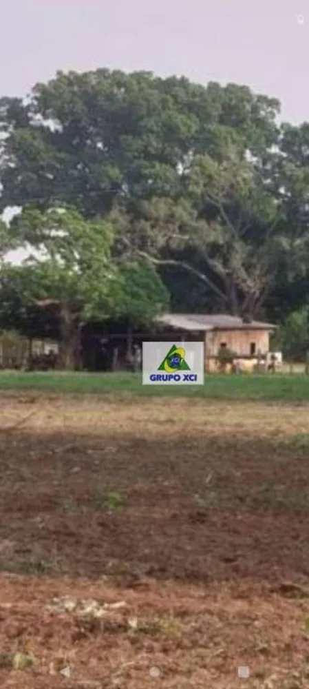 Fazenda, 7800 hectares - Foto 7