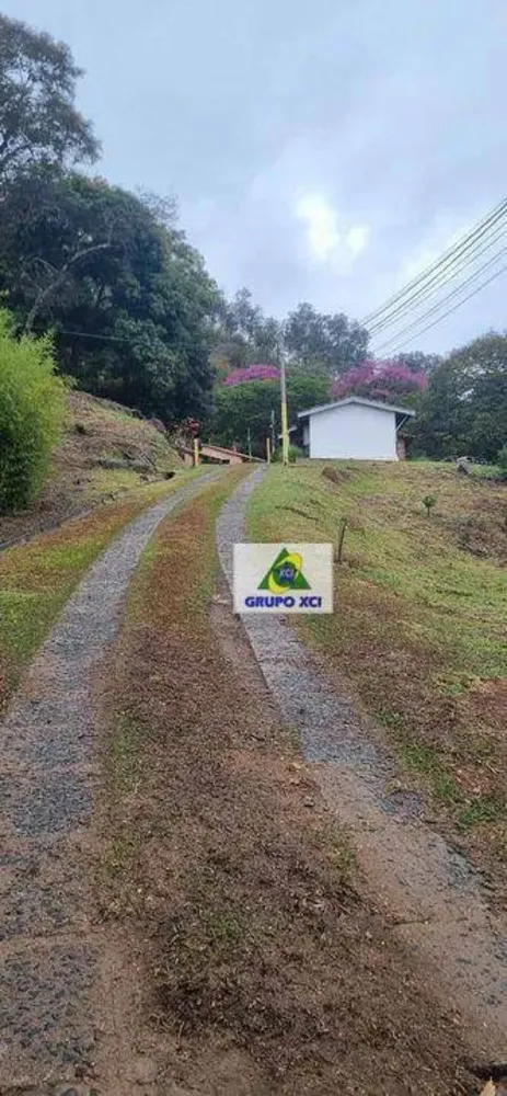 Chácara, 4 quartos, 4 hectares - Foto 7