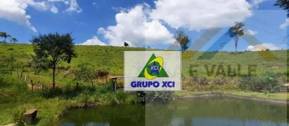 Sítio, 10 quartos, 12 hectares - Foto 3