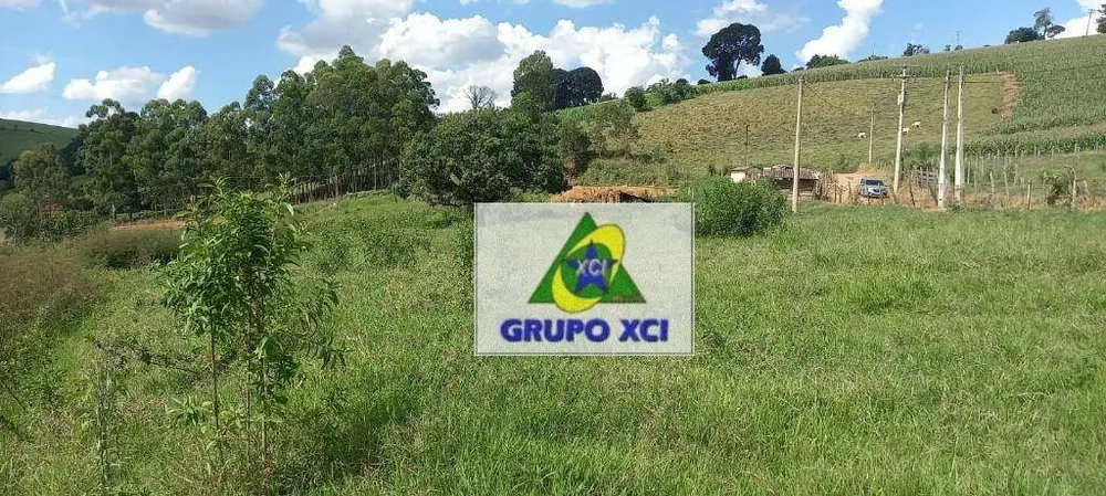 Terreno, 9000 m² - Foto 5