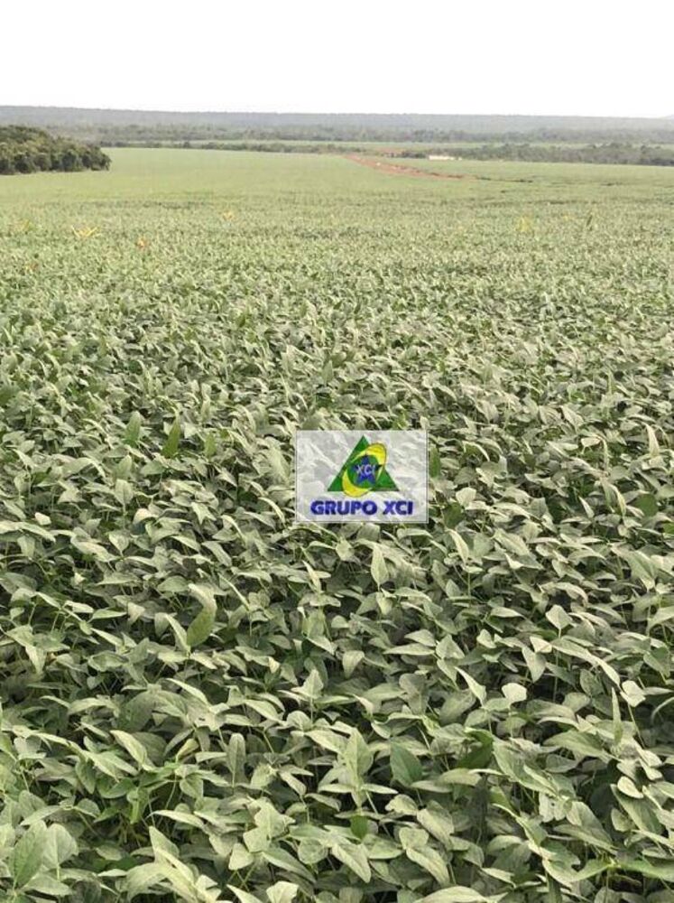 Fazenda à venda, 24900000M2 - Foto 3