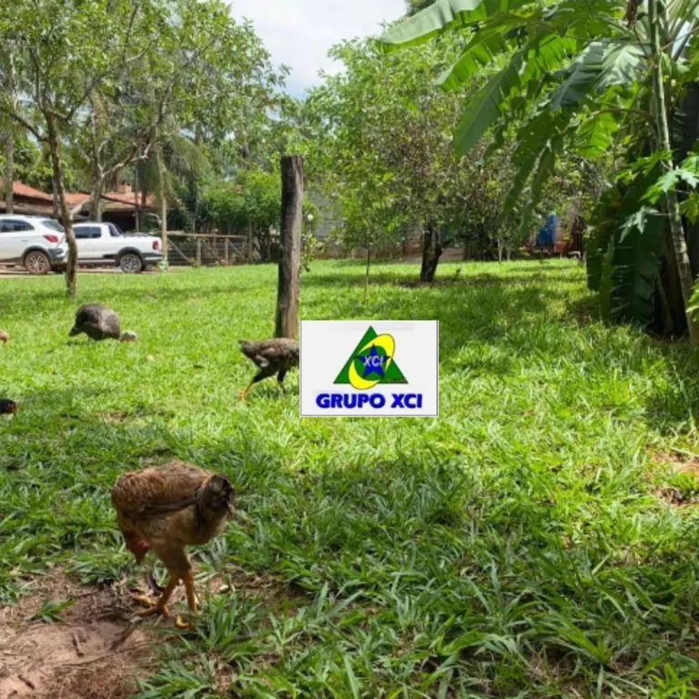 Chácara, 4 quartos, 3600 m² - Foto 11