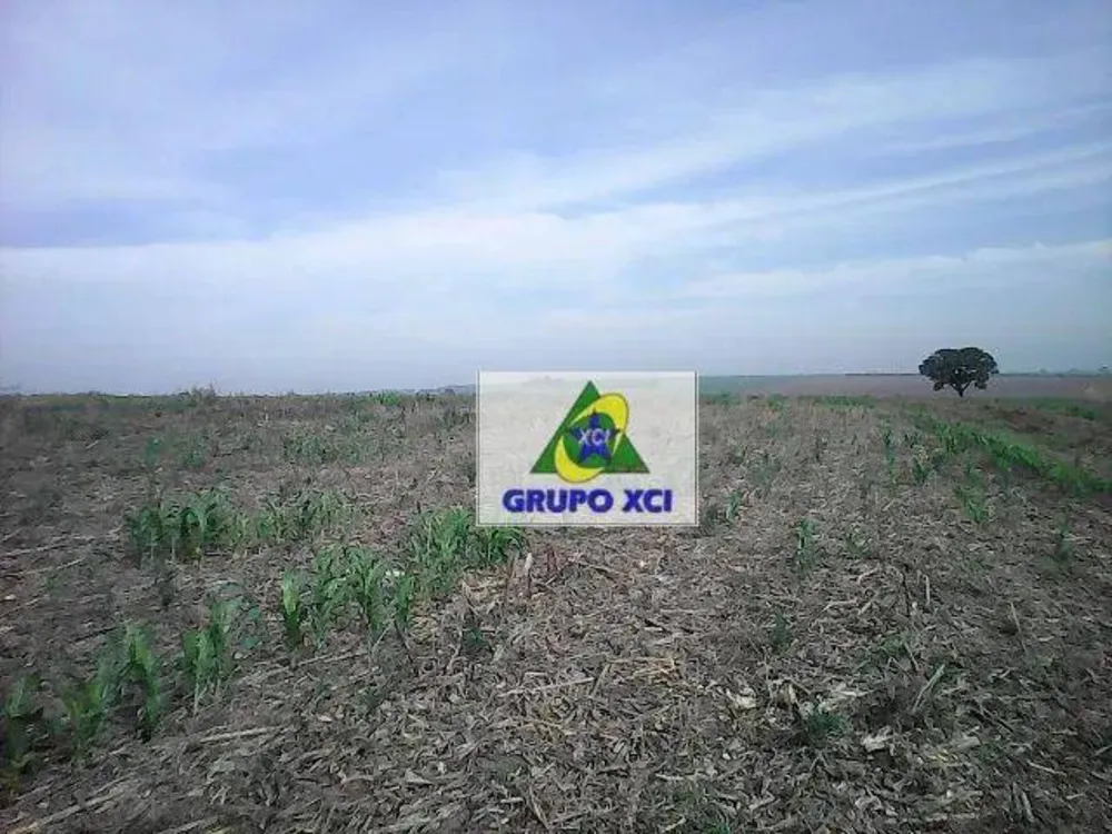 Terreno, 15 hectares - Foto 9