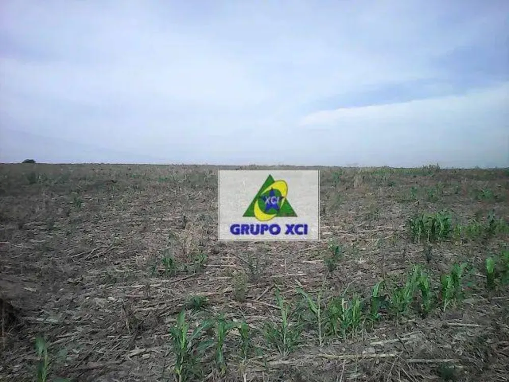 Terreno, 15 hectares - Foto 6