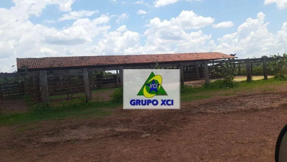Fazenda, 1360 hectares - Foto 6