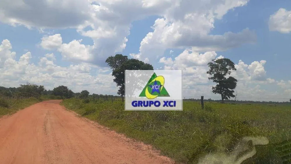Fazenda, 1360 hectares - Foto 5