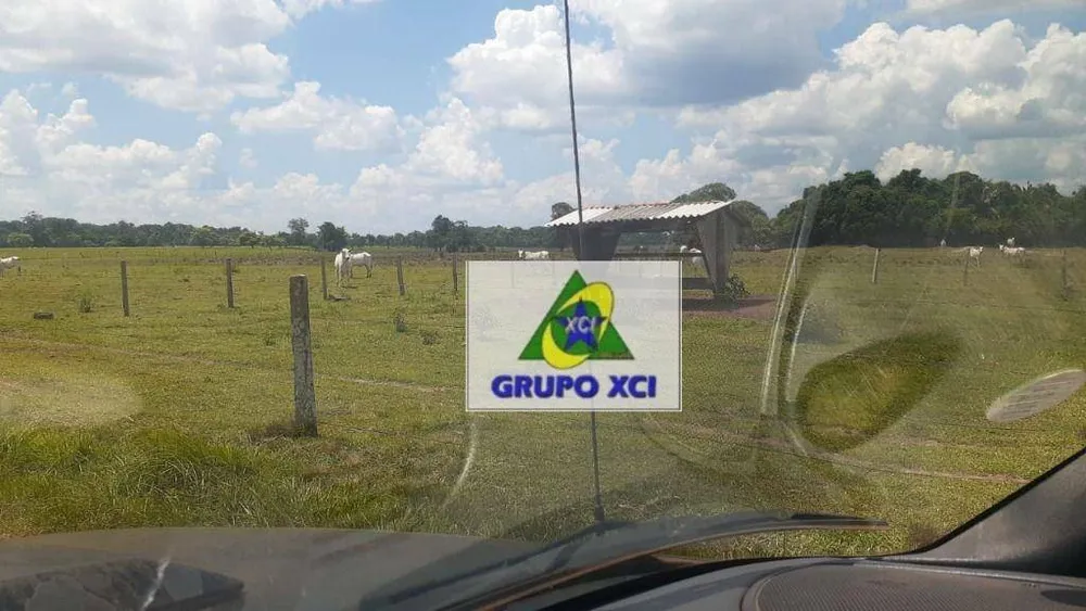 Fazenda, 1360 hectares - Foto 7