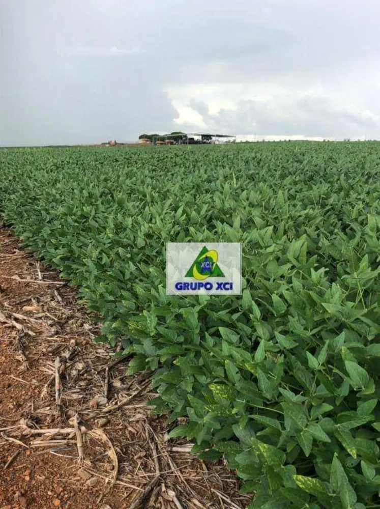 Fazenda, 2490 hectares - Foto 4