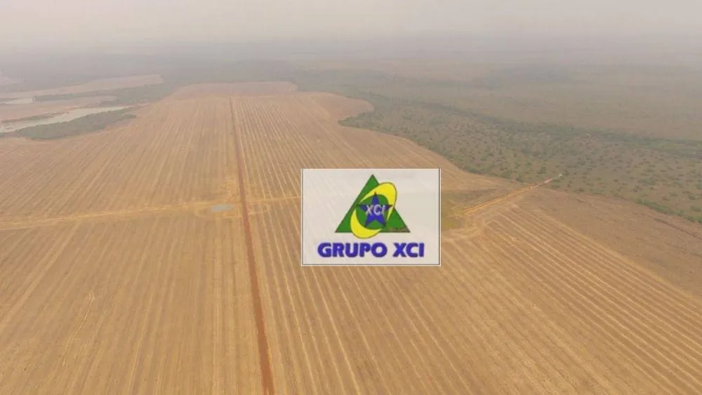 Fazenda, 2490 hectares - Foto 6
