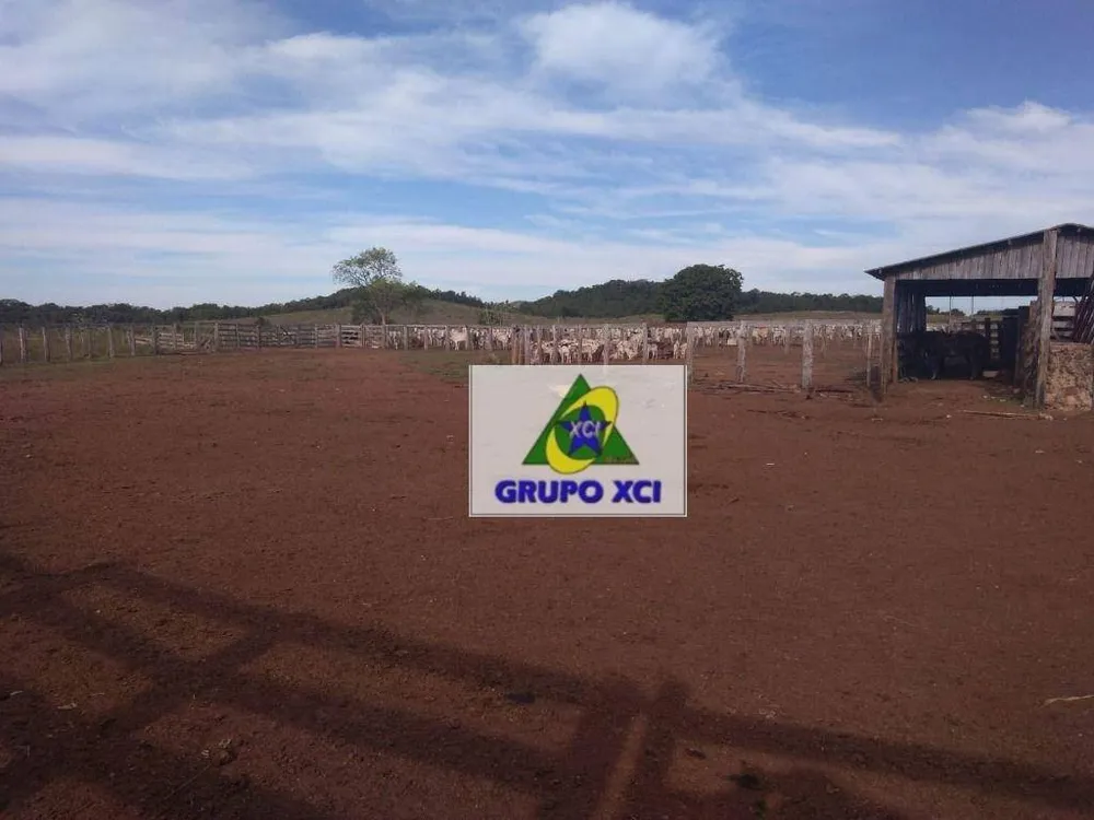 Fazenda, 16940 hectares - Foto 11