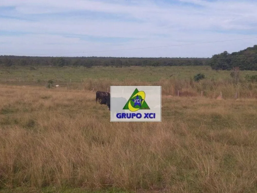 Fazenda, 16940 hectares - Foto 6