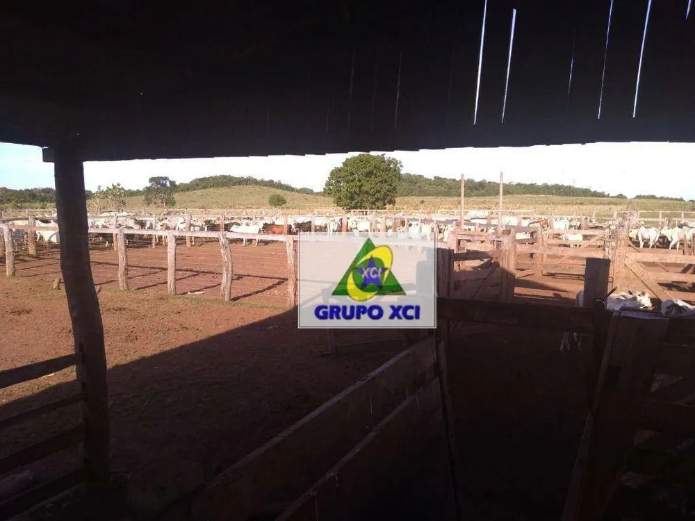 Fazenda, 16940 hectares - Foto 5