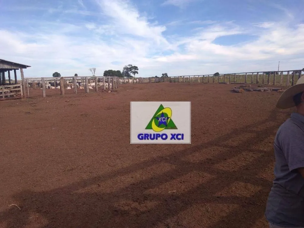 Fazenda, 16940 hectares - Foto 7