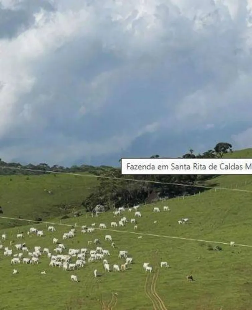 Fazenda, 147 hectares - Foto 2