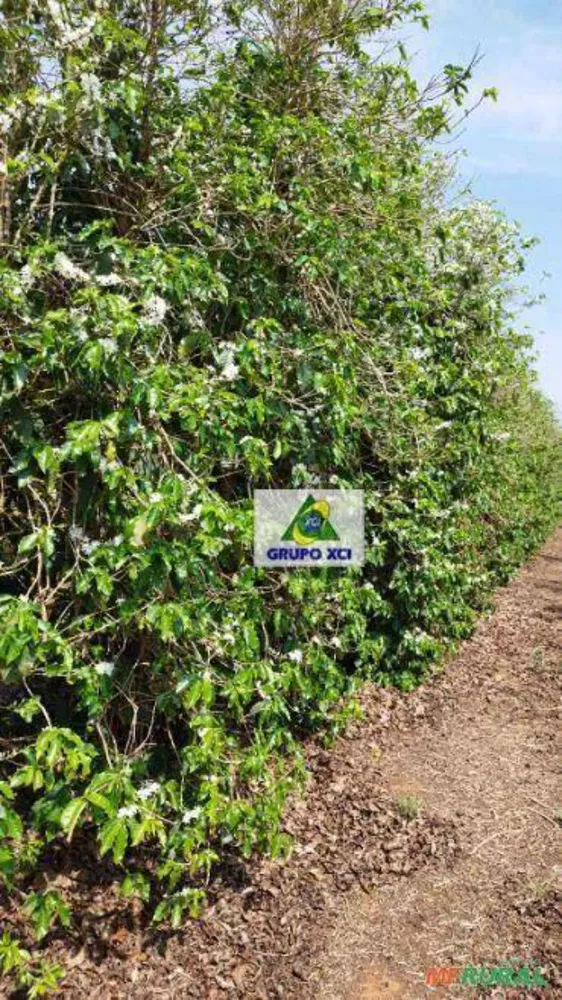 Fazenda à venda, 399600M2 - Foto 3